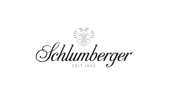 Schlumberger Logo